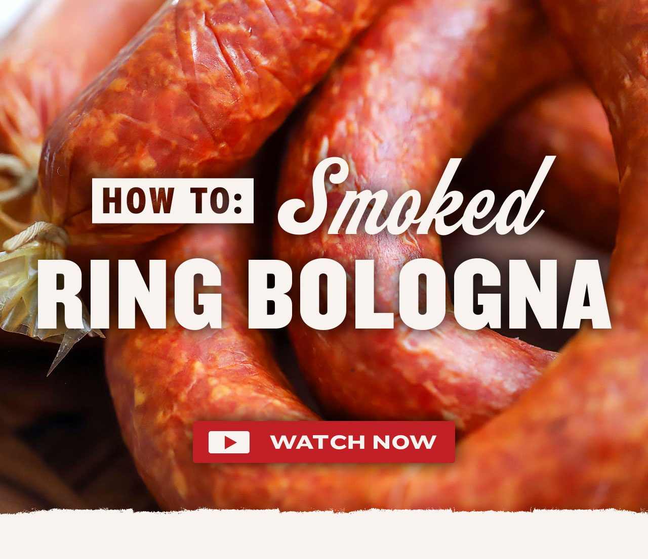 Homemade Ring Bologna Recipe – PS Seasoning